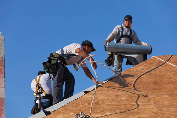 Best Roof Repair Services  in Berrien Springs, MI