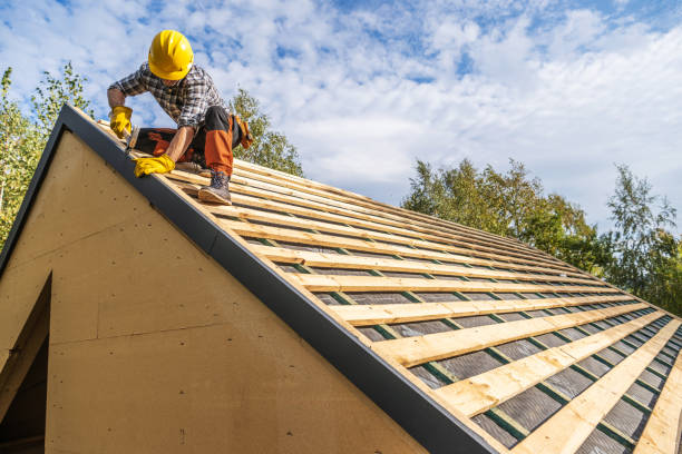 Best Roof Maintenance Services  in Berrien Springs, MI