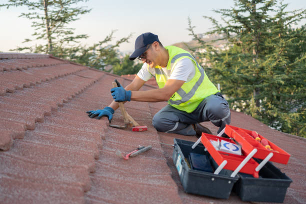 Best Commercial Roofing Services  in Berrien Springs, MI