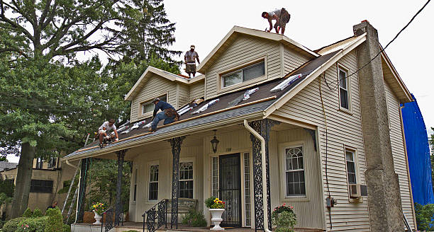 Best Shingle Roofing Installation  in Berrien Springs, MI