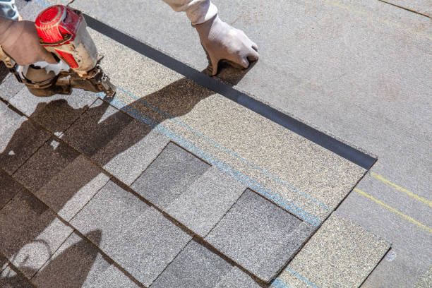 Best Residential Roof Replacement  in Berrien Springs, MI