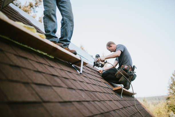 Best Emergency Roof Repair  in Berrien Springs, MI