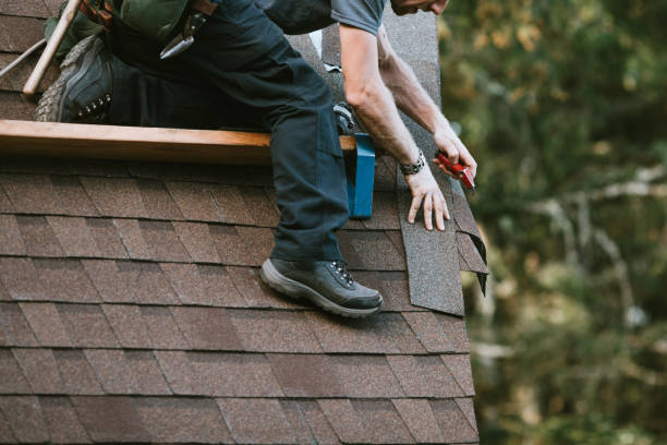 Best Roofing Contractor Near Me  in Berrien Springs, MI
